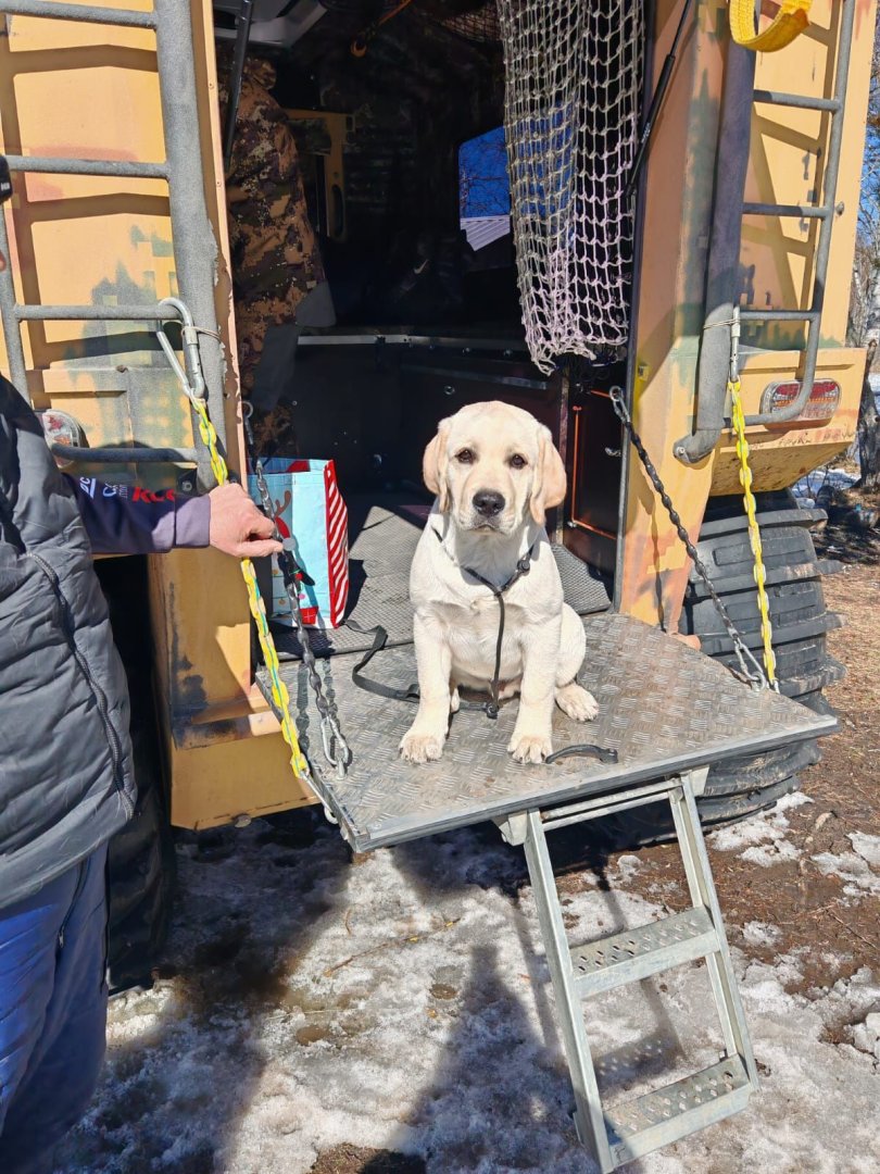 Изображение 20