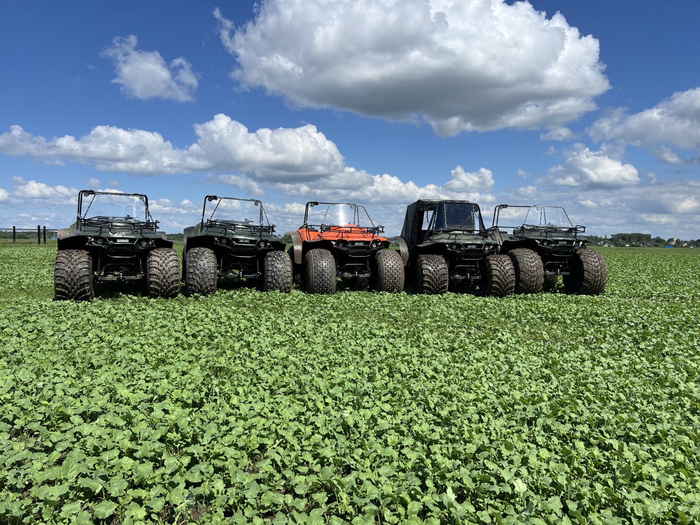 Изображение 7