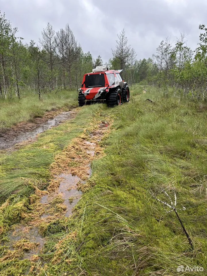 Изображение 5