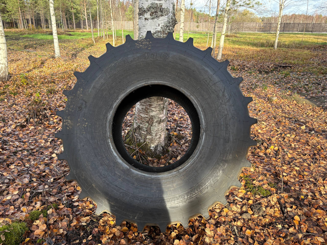 Изображение 9