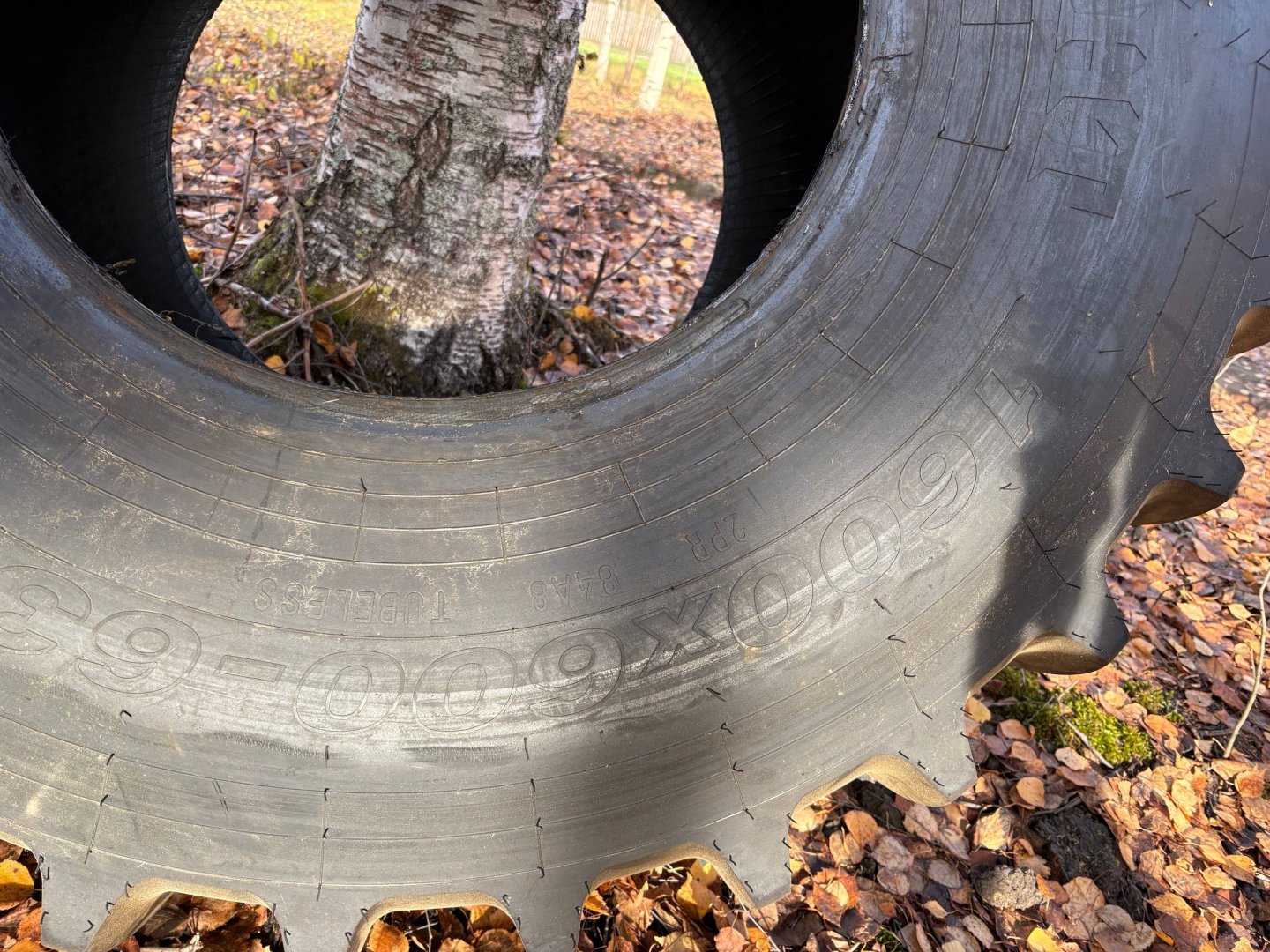 Изображение 17