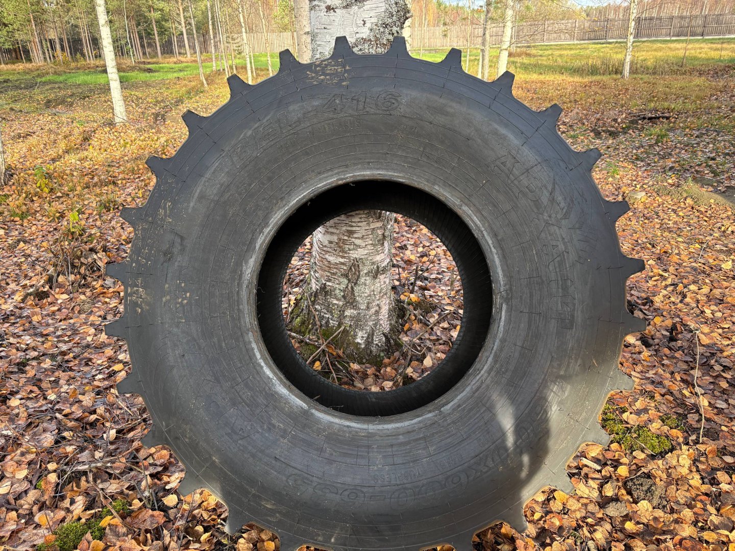 Изображение 19