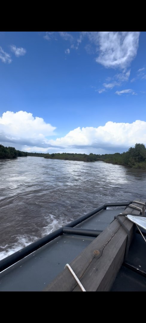 Изображение 13